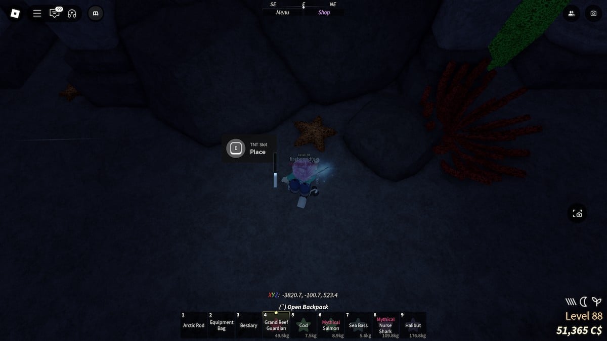 フィッシュのゼウスの中心にTNTを置く場所。